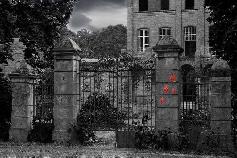 Gruselhaus Image by Dirk Wolter